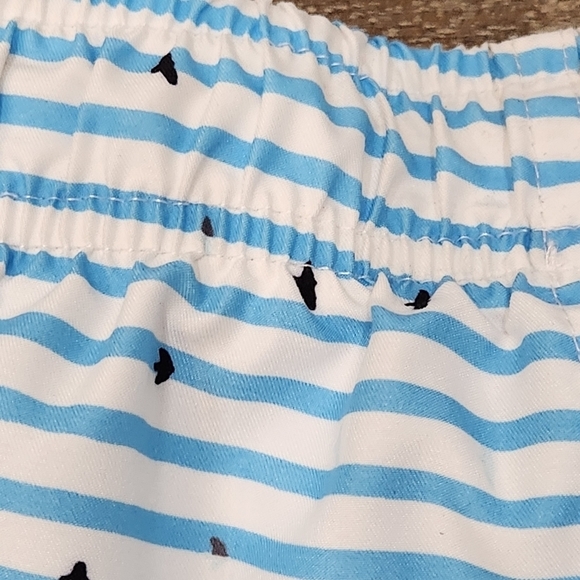 Boardies Men’s Swim Shorts Trunks Striped Blue White Size Medium - Picture 11 of 16